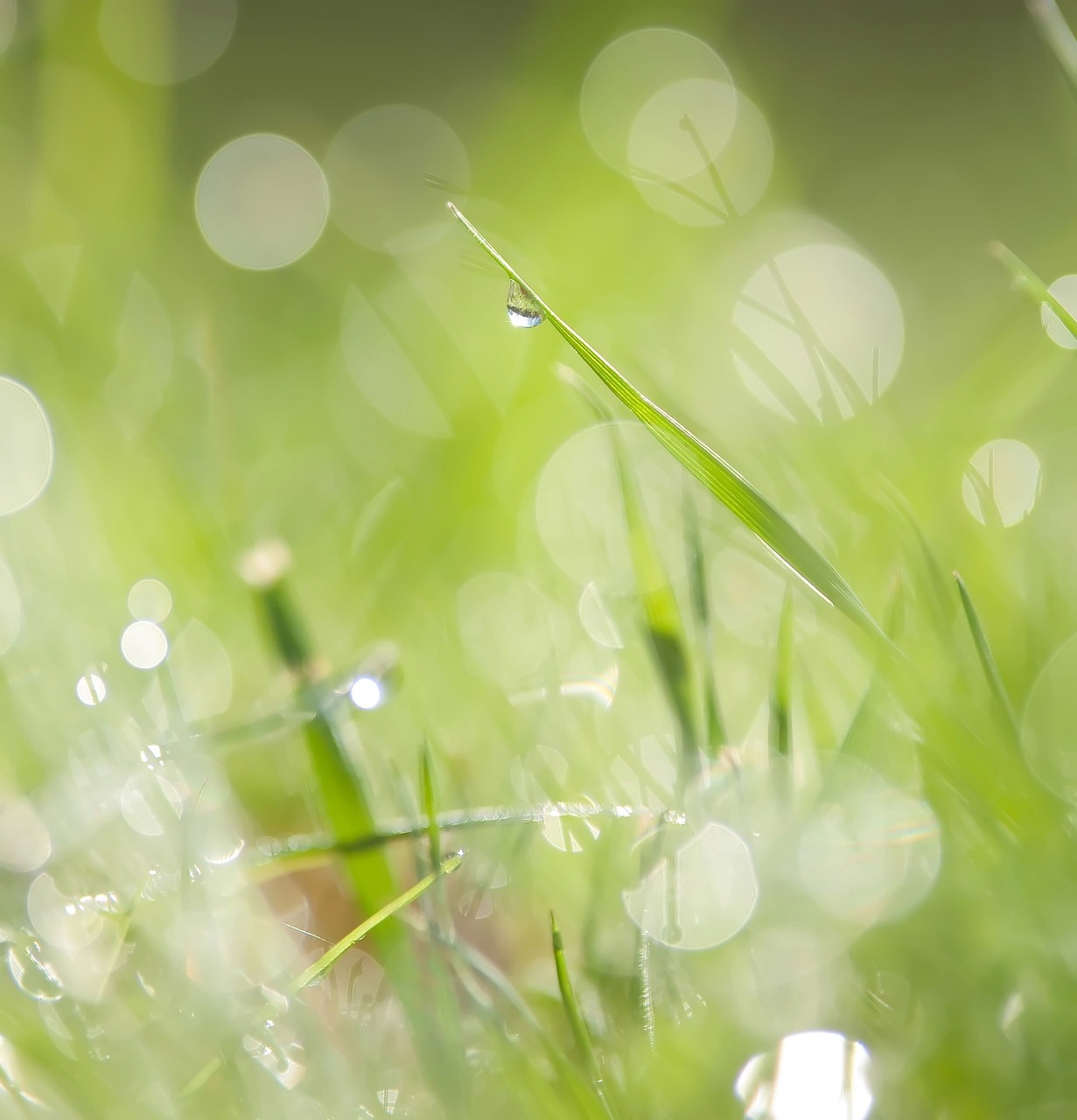 Percorso individuale di rilassamento meditazione mindfulness consapevolezza, a cura di Laura Canis, psicologa